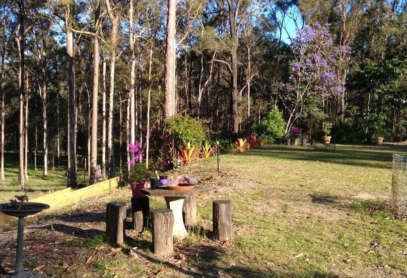 渡假胜地  Springwood Meditation Centre 春木禪修渡假中心