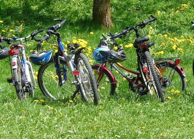 בית מלון כפרי Kaeru