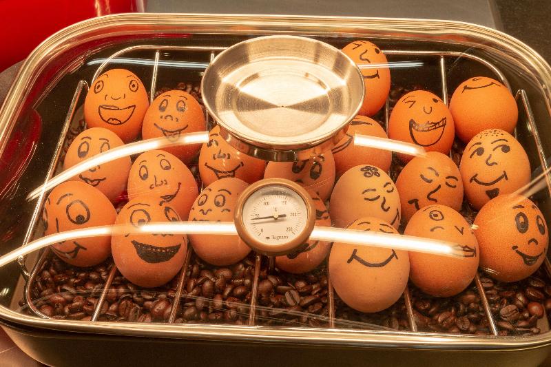 Fotos del hotel The Niu Franz:  84