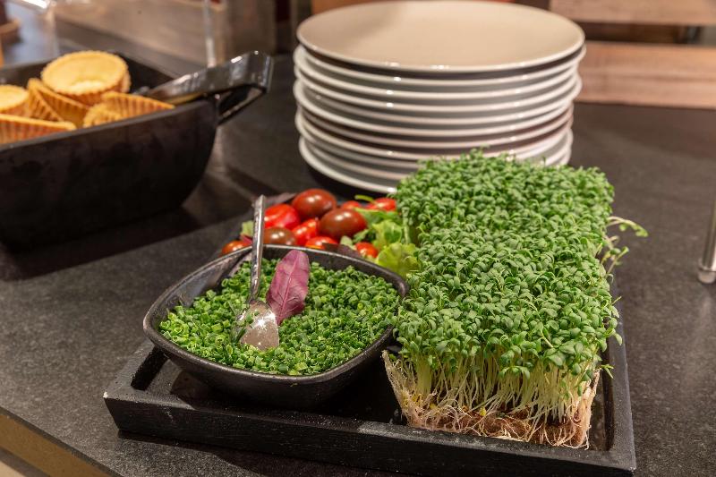 Fotos del hotel The Niu Franz:  25