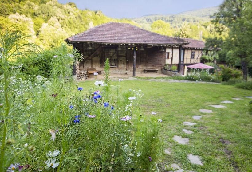 تختخواب و صبحانه Little River Guest House