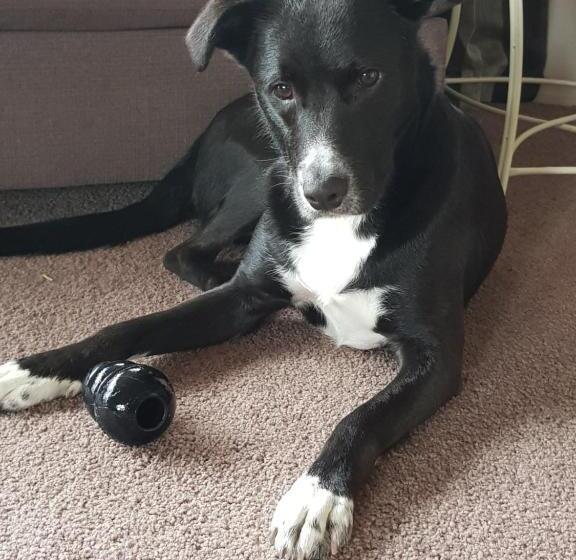 تختخواب و صبحانه Mnm's Bnb