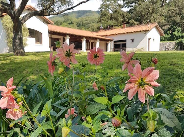 تختخواب و صبحانه Torrontes