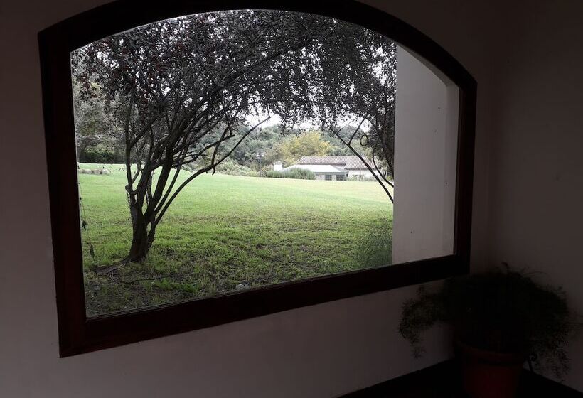 تختخواب و صبحانه Torrontes