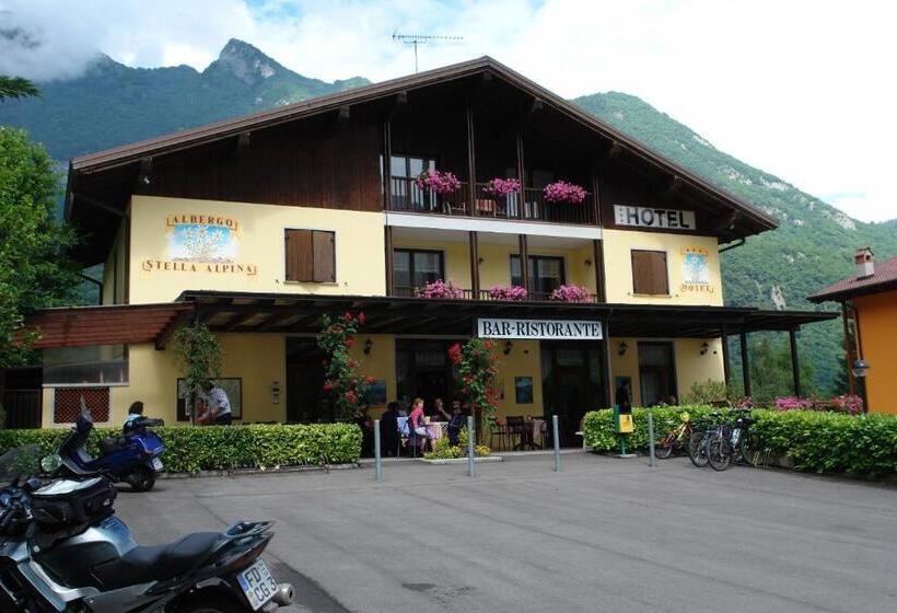 ホテル Albergo Stella Alpina