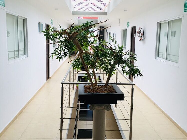 Fotos del hotel Boutique Boca - Veracruz:  10