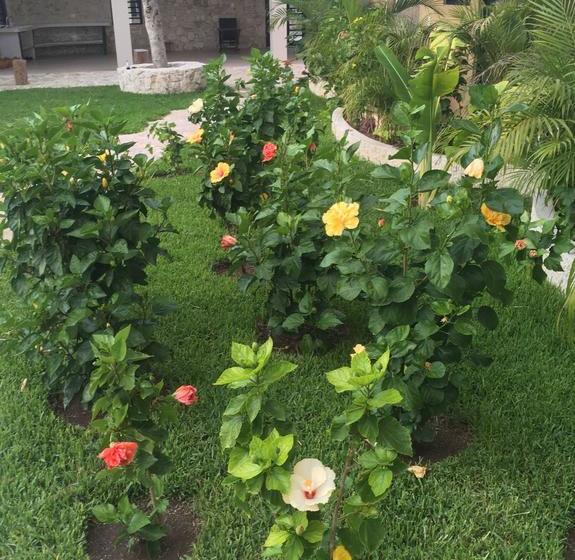 Fotos del hotel Jabin Tulum:  18