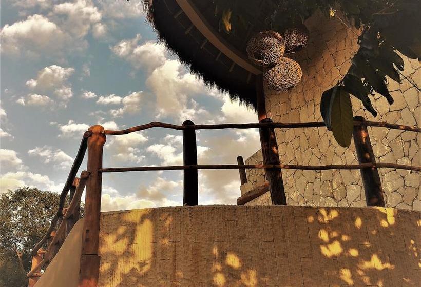 Fotos del hotel Jabin Tulum:  3