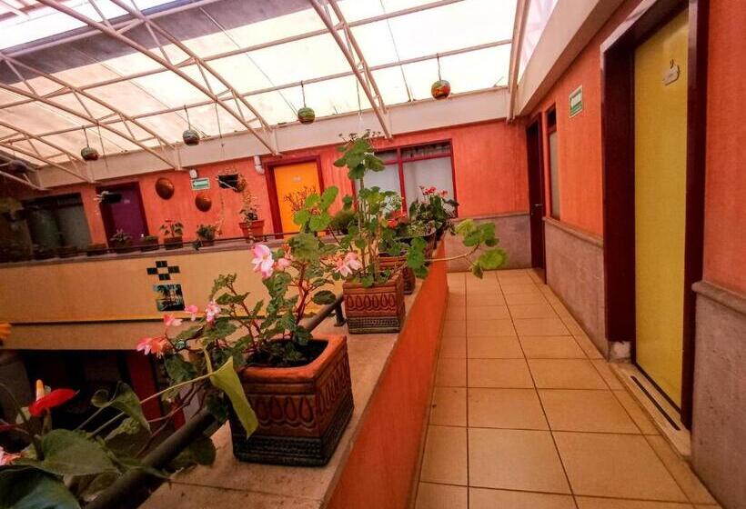 فندق Posada Santo Niño