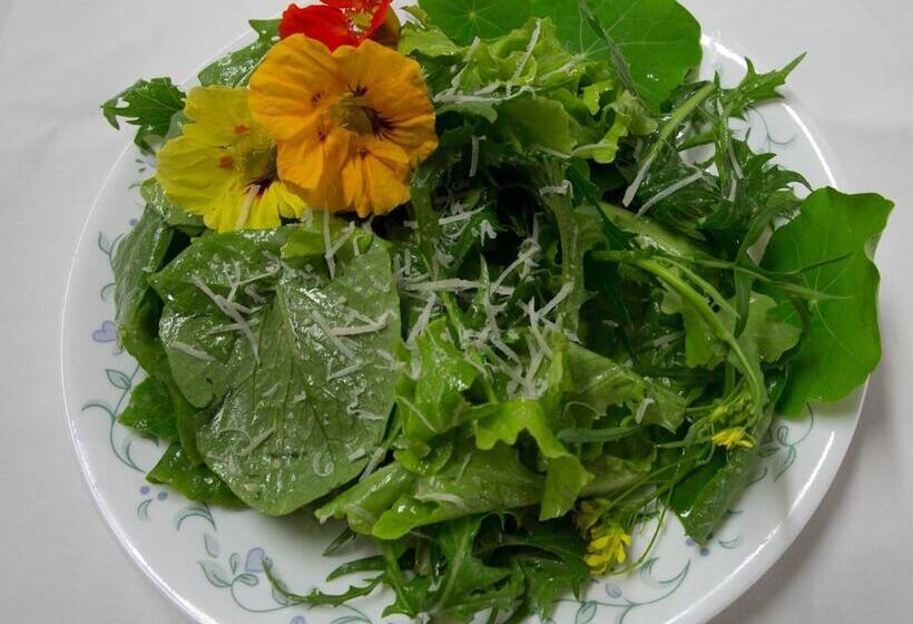 مبيت وإفطار Discovery Yukon Lodgings