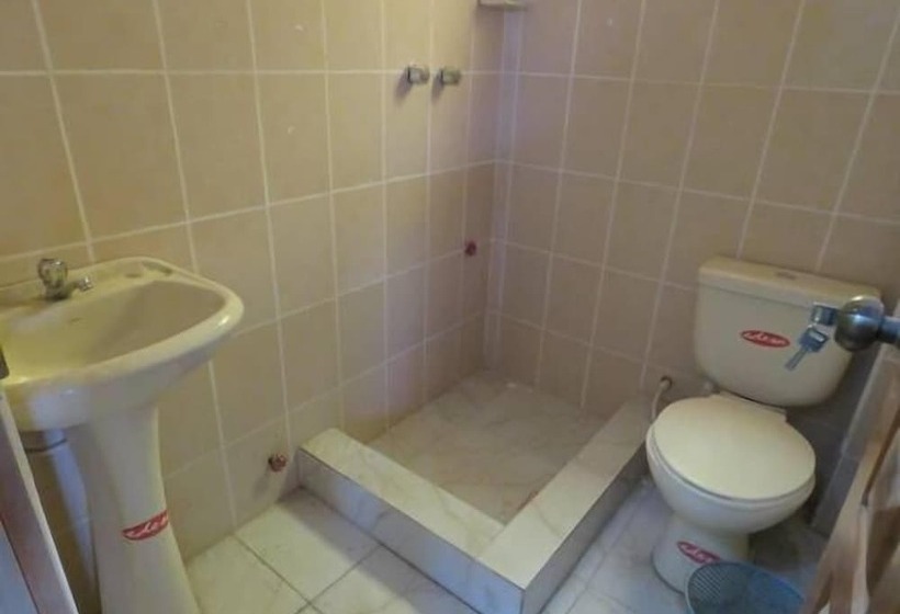 Beliz In B&b