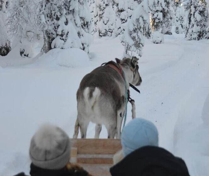 هتل Arctic Zone