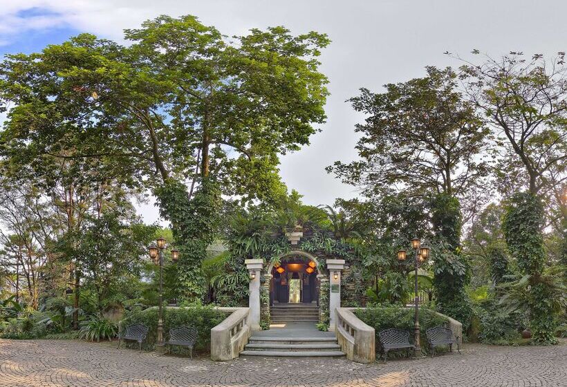 渡假胜地  Melia Bavi Mountain Retreat