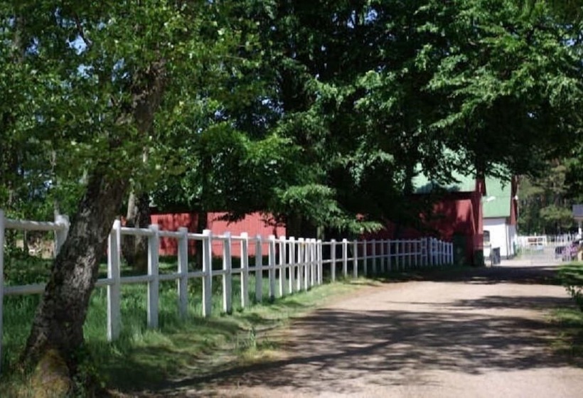 Skummeslöv B & B