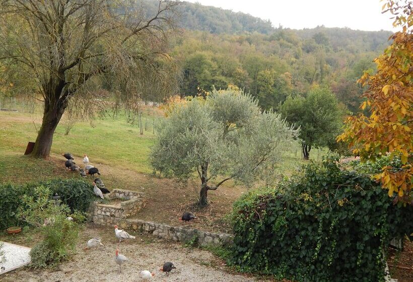 Bed and Breakfast El Pavejo