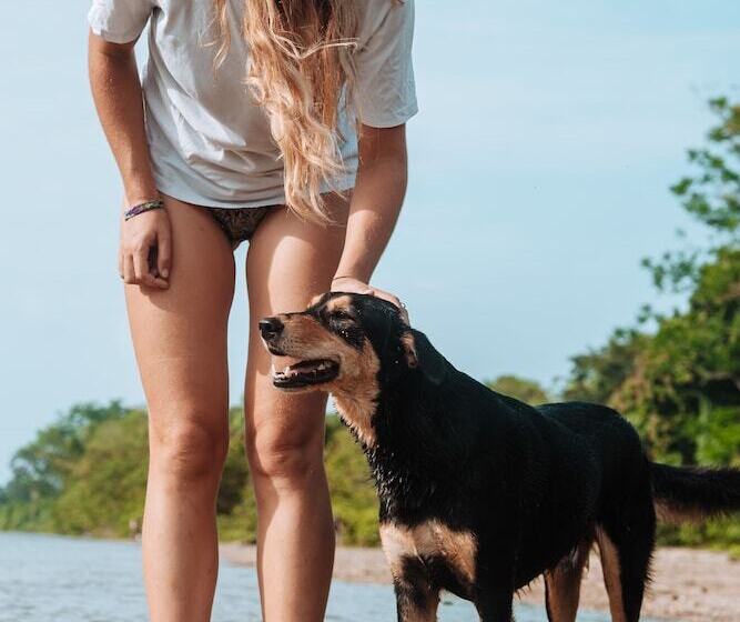 هاستل Casa Del Pavo Real Boutique