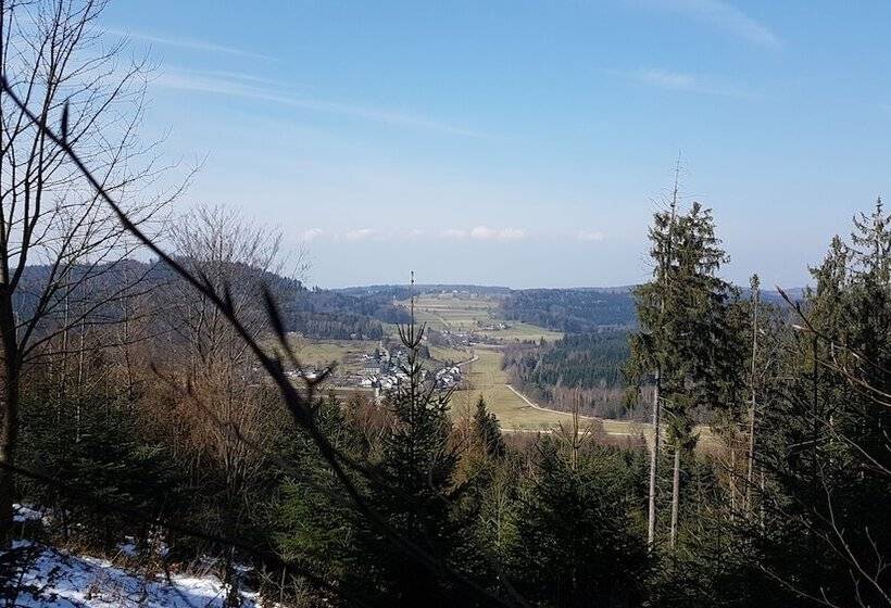 هتل Platzhirsch