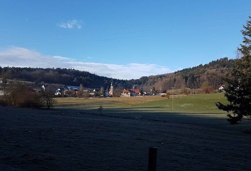 هتل Platzhirsch