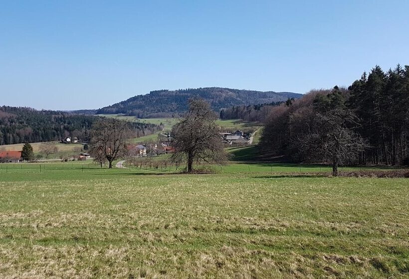 هتل Platzhirsch
