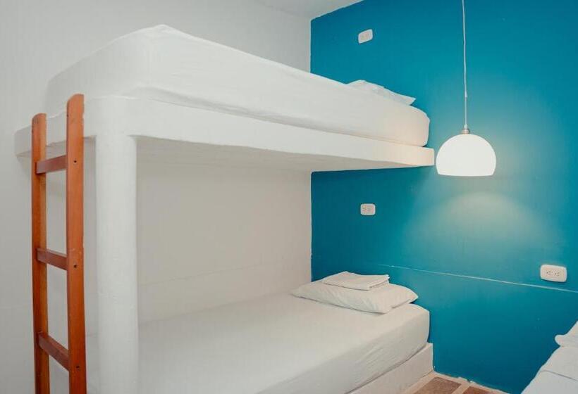 هاستل Casamart Rodadero