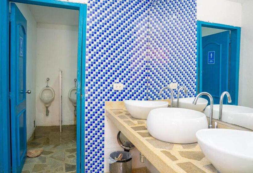 هاستل Casamart Rodadero