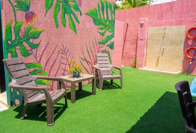 هاستل Casamart Rodadero