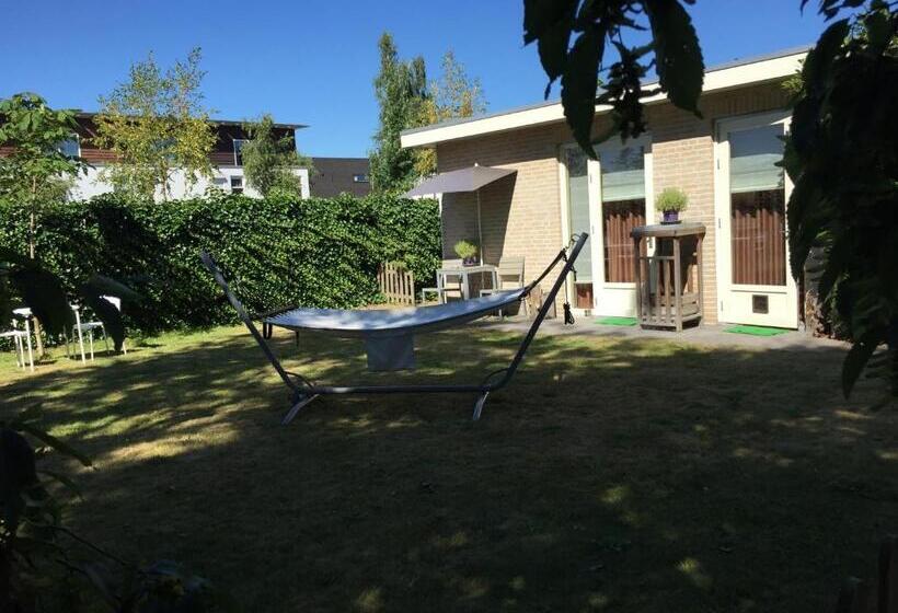 B&b Maison Saint Tropez Eindhoven