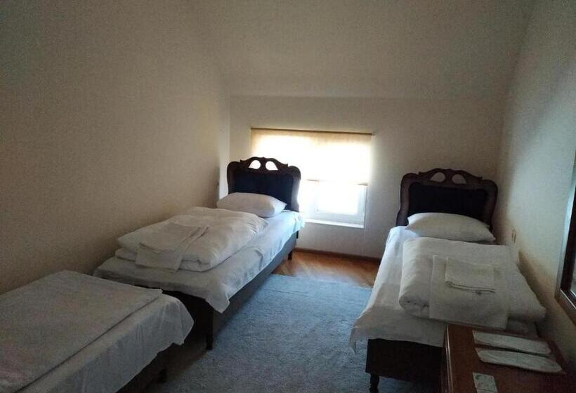 Downtown B&b