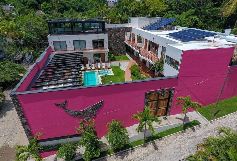 هتل Casa De La Ballena