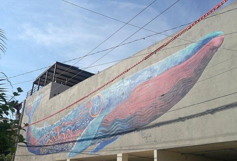 هتل Casa De La Ballena