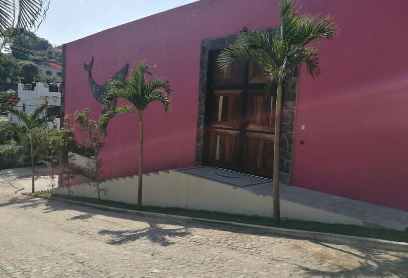 هتل Casa De La Ballena