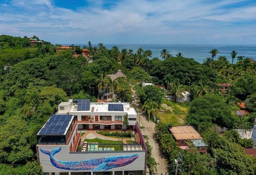 هتل Casa De La Ballena
