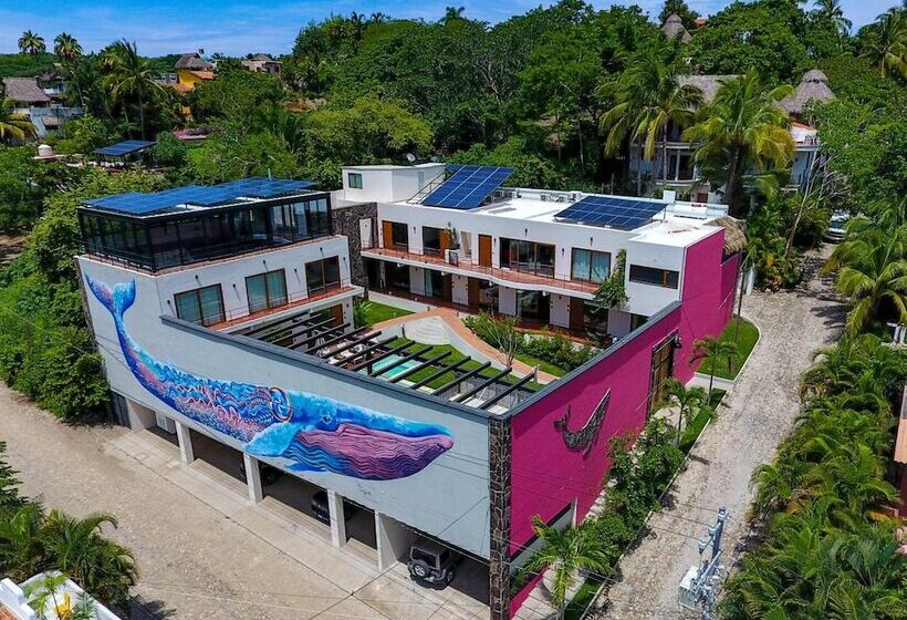هتل Casa De La Ballena