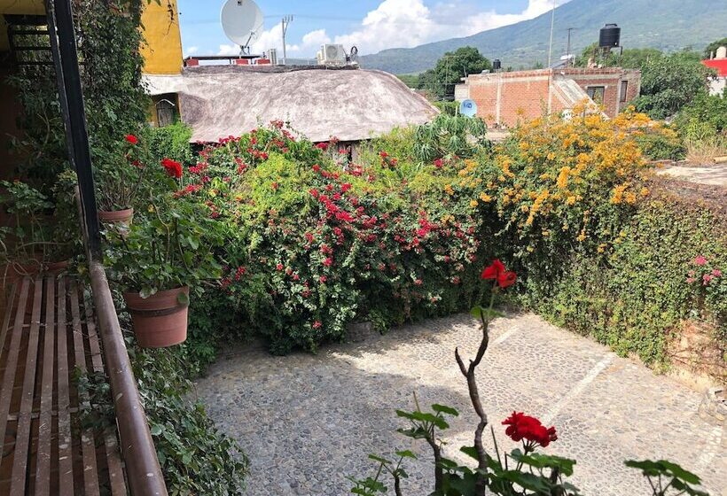 فندق Hacienda El Ceboruco