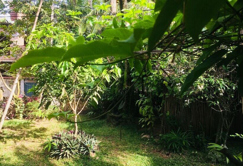 Nature Rex Hostel