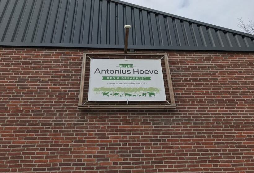 צימר Antonius Hoeve