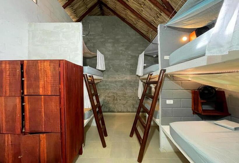 El Zoo Hostel, Bar & Pool