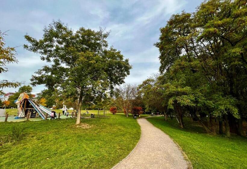 Fotos del hotel Shato Gesson:  12