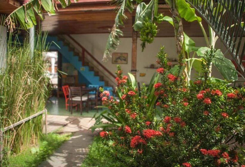 Hostel De Boca En Boca