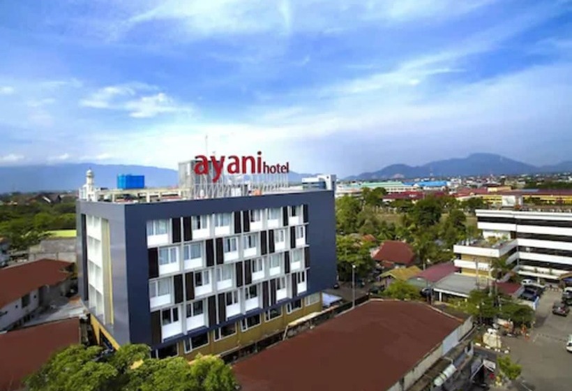 هتل Ayani  Banda Aceh