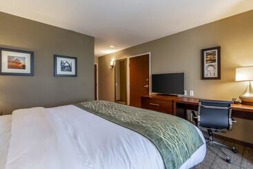 هتل Comfort Inn & Suites  Harrisburg Airport  Hershey South