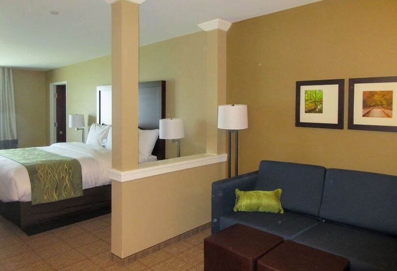هتل Comfort Inn & Suites  Harrisburg Airport  Hershey South