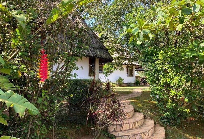 Hotel Banda Lodge