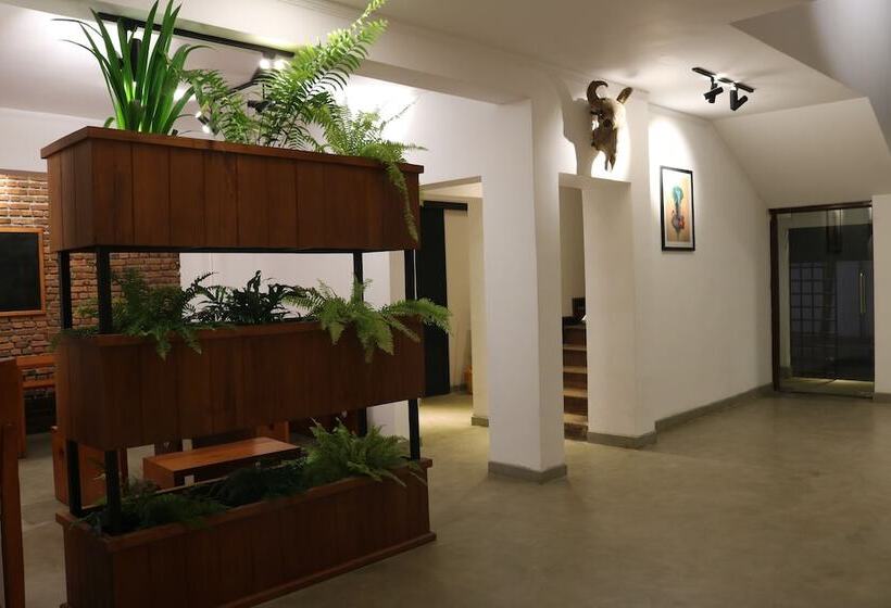 تختخواب و صبحانه Fern Colombo