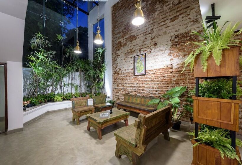 تختخواب و صبحانه Fern Colombo