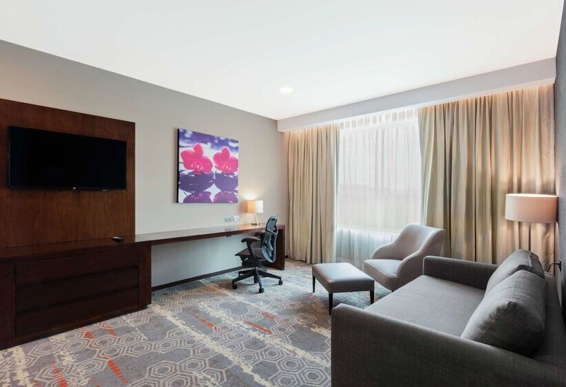 هتل Hilton Garden Inn Salamanca