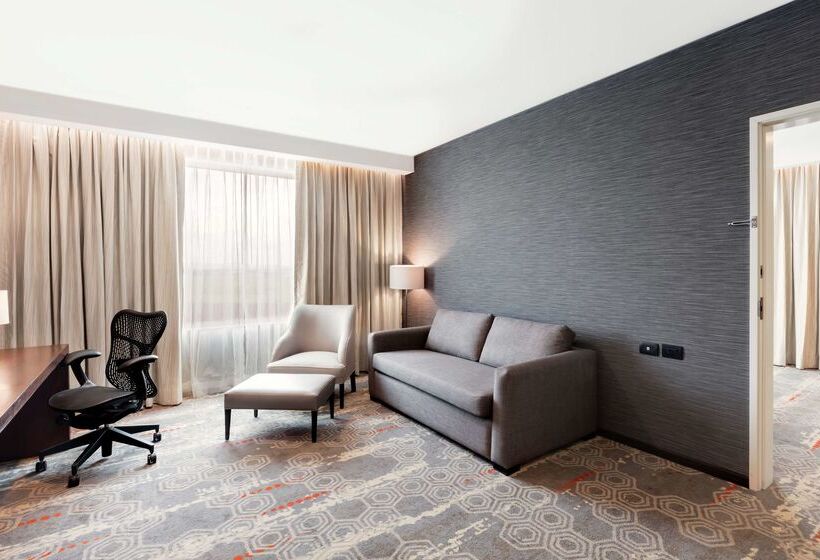 هتل Hilton Garden Inn Salamanca