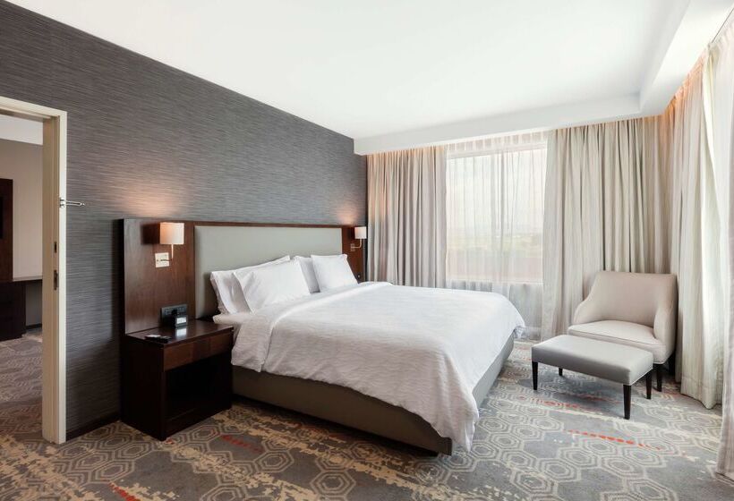 هتل Hilton Garden Inn Salamanca