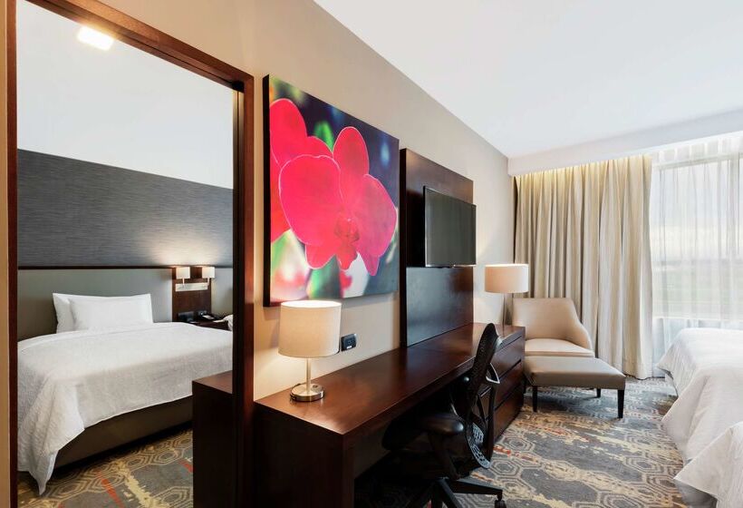 هتل Hilton Garden Inn Salamanca