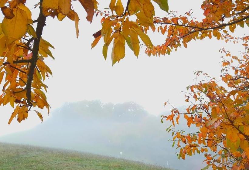 ホテル Seminar & Gästehaus Burghof Stauf